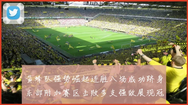 黄蜂队强势崛起连胜八场成功跻身东部附加赛区击败多支强敌展现冠军潜力